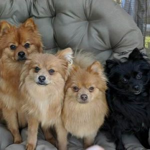 Meet your Posher, Vanessa